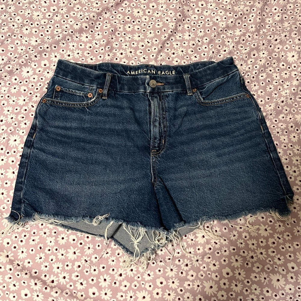 American Eagle Outfitters Blue Denim Shorts